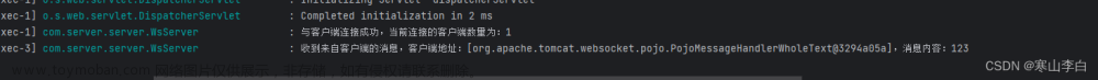 tomcat websocket 客户端,# Spring Boot 集成,工具,java,websocket,开发语言