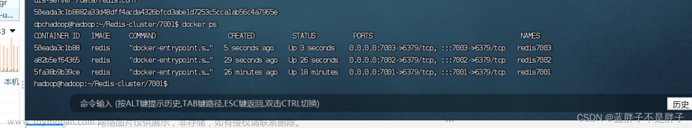 Redis在分布式場景下的應(yīng)用,Java,Redis,redis,分布式,數(shù)據(jù)庫
