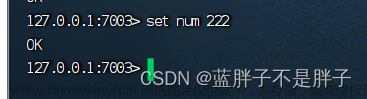 Redis在分布式場景下的應(yīng)用,Java,Redis,redis,分布式,數(shù)據(jù)庫
