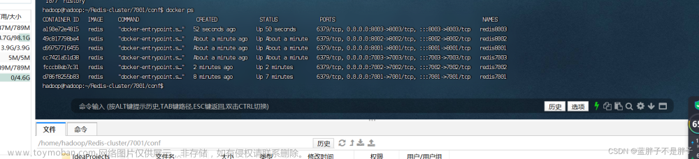 Redis在分布式場景下的應(yīng)用,Java,Redis,redis,分布式,數(shù)據(jù)庫