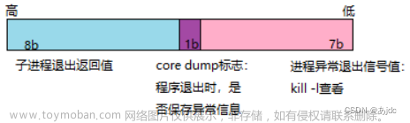 認(rèn)識(shí)環(huán)境變量和進(jìn)程替換，實(shí)現(xiàn)一個(gè)簡(jiǎn)易的shell,c++,數(shù)據(jù)結(jié)構(gòu),linux,ubuntu,centos,vim