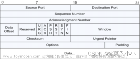 tcp包头,tcp/ip,udp,网络