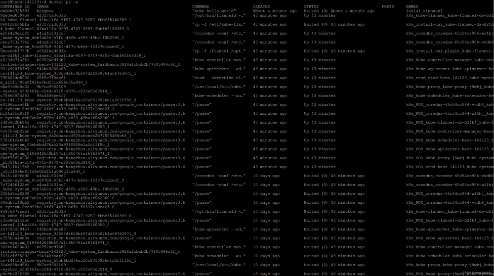 初识容器Docker,Kubernetes入门实战课,docker,容器,运维