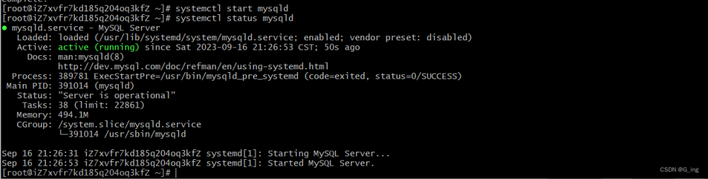 项目上线部署--》服务器部署流程（二）安装Nginx、Node.js、MySQL,前端基础,javascript,node.js,服务器,nginx