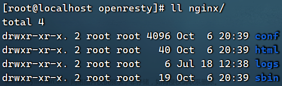 OpenResty安装-(基于Nginx的高性能Web平台,可在Nginx端编码业务),分布式,openresty,nginx,前端