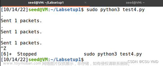 ubuntu嗅探系统,ubuntu,安全