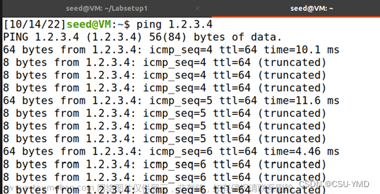 ubuntu嗅探系统,ubuntu,安全