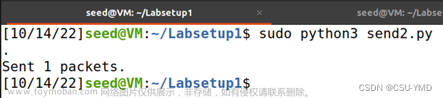 ubuntu嗅探系统,ubuntu,安全