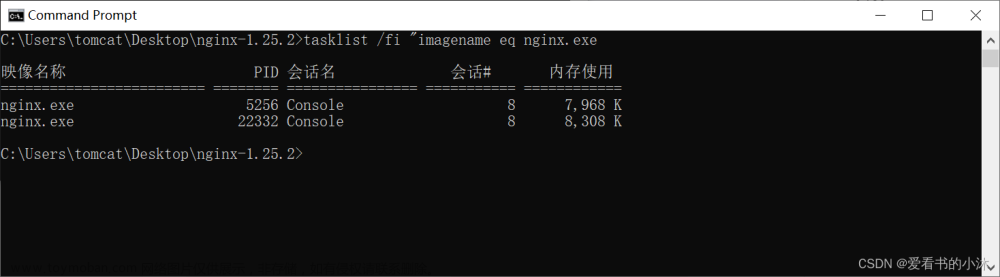 【小沐学Python】各种Web服务器汇总（Python、Node.js、PHP、httpd、Nginx）,Python,Web,python,前端,php,http server,node.js,apache,tomcat