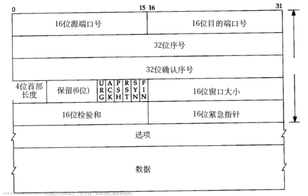 Linux网络-UDP/TCP协议详解,单片机,嵌入式硬件