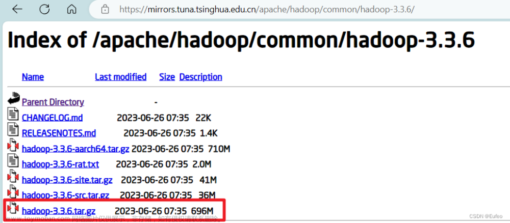 Hadoop(01) Hadoop3.3.6安装教程，单机/伪分布式配置,Hadoop,分布式,hadoop,大数据