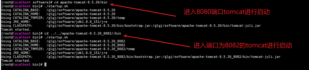 Nginx搭配负载均衡和动静分离：构建高性能Web应用的完美组合,Linux操作系统,前端,nginx,负载均衡,linux,运维