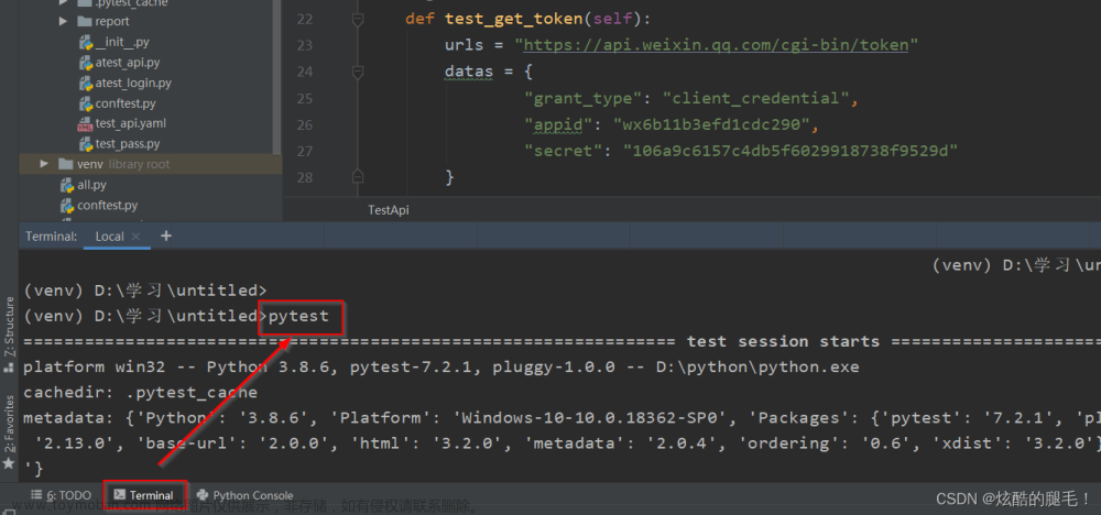 全网最全Pytest框架使用教程和项目实战~从入门到精通,Pytest,Python 接口自动化测试,pytest,python,开发语言,单元测试