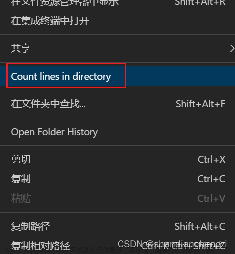 【工具】Github统计代码行数工具推荐（VScode插件、兼容任何平台、不用下载安装包）,科普,github,vscode,ide