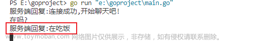 本地websocket服务端暴露至公网访问【cpolar内网穿透】,websocket,网络协议,网络