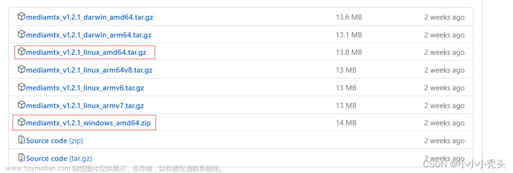 vue实现视频监控,vue.js,webrtc,音视频