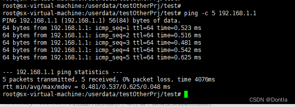 linux带源地址ping目的地址,网络编程,linux,linux,运维,服务器