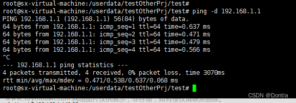 linux带源地址ping目的地址,网络编程,linux,linux,运维,服务器