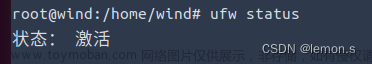 ubuntu查看防火墙开启的端口,服务器,linux,网络