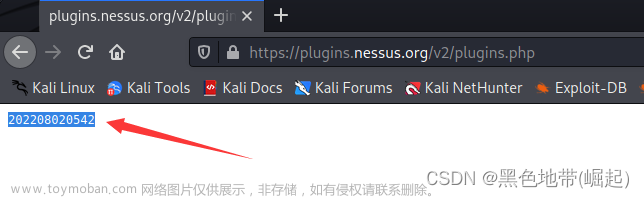 【kali-漏洞扫描】（2.1）Nessus解除IP限制、扫描快无结果、插件plugins被删除（中）