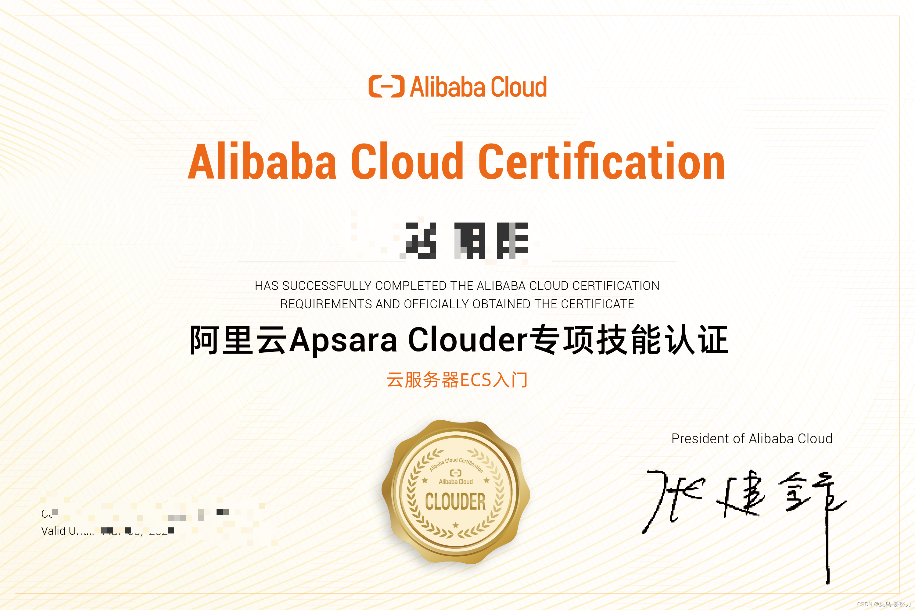 【阿里云】Apsara Clouder云计算专项技能认证-云服务器ECS入门，考试真题分享