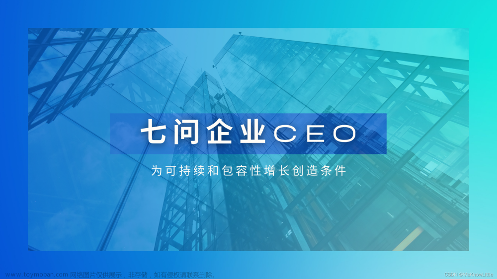 七问企业CEO：为可持续和包容性增长创造条件