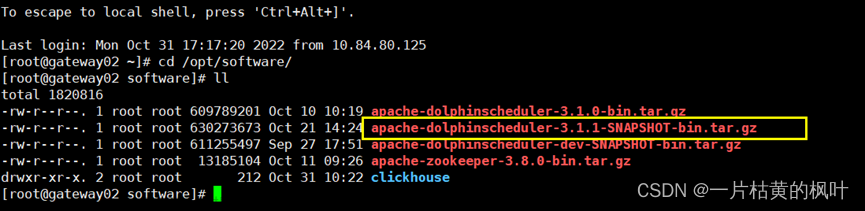 DolphinScheduler 3.1.0 海豚集群部署配置
