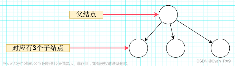 C 非线性结构——树 万字详解（通俗易懂）