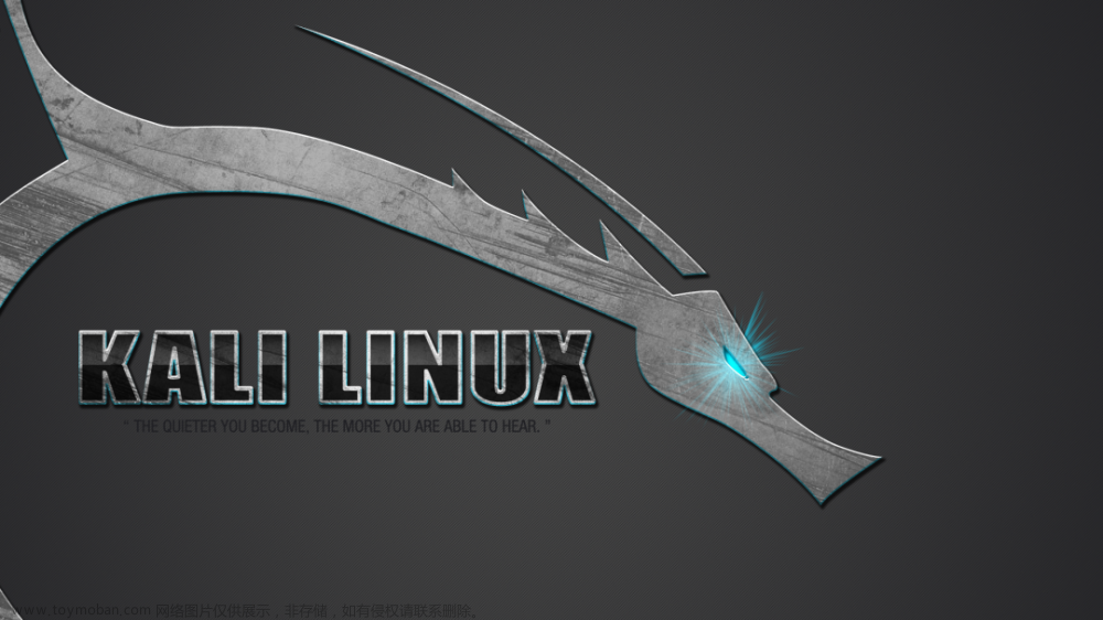 Kali Linux入门教程（非常详细）从零基础入门到精通，看完这一篇就够了。