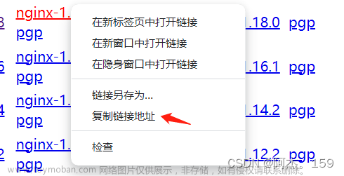 nginx -g daemon off,服务器,网络,运维