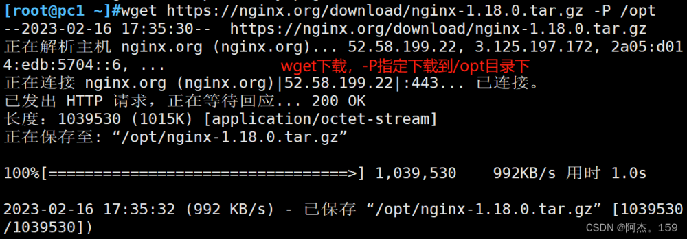 nginx -g daemon off,服务器,网络,运维