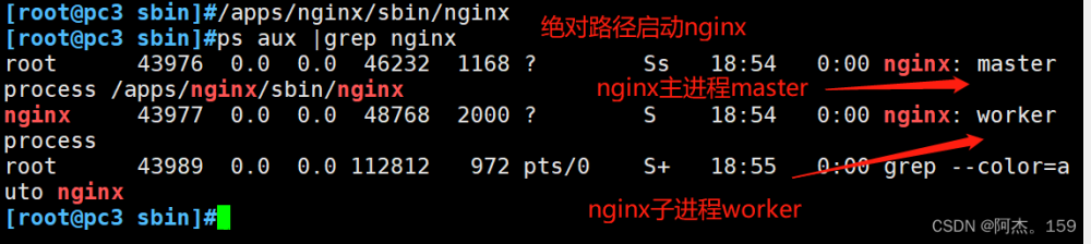 nginx -g daemon off,服务器,网络,运维