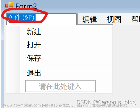 c# winform,c#,c#,数据库,winform,.net,经验分享