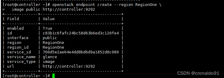 云计算：OpenStack 分布式架构部署（单控制节点与单计算节点）,云计算,云计算,openstack,架构,运维