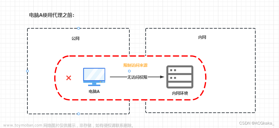 proxifier csdn,工具,网络,服务器,运维