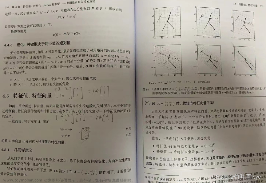 线性代数基础知识,程序员的数学,线性代数