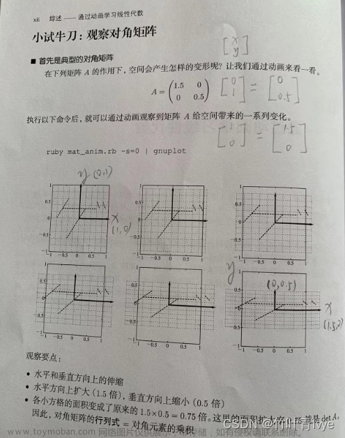 线性代数基础知识,程序员的数学,线性代数