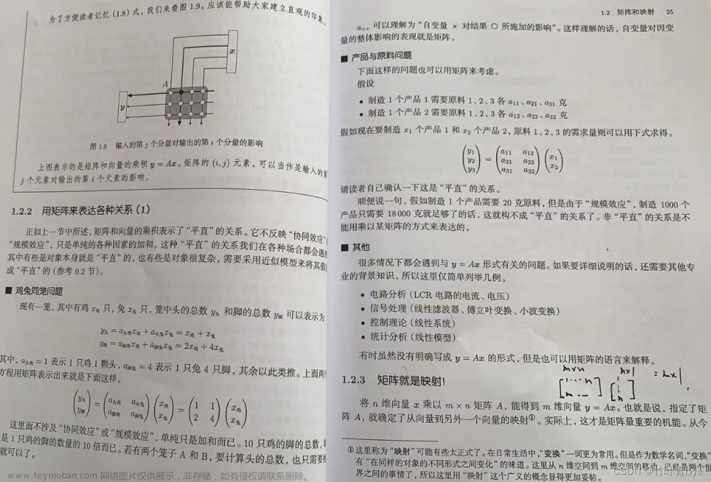 线性代数基础知识,程序员的数学,线性代数