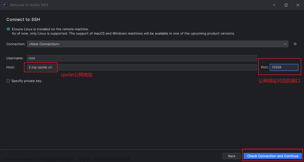 IDEA无公网环境ssh远程访问本地Linux服务器进行开发,cpolar,intellij-idea,ssh,linux,java