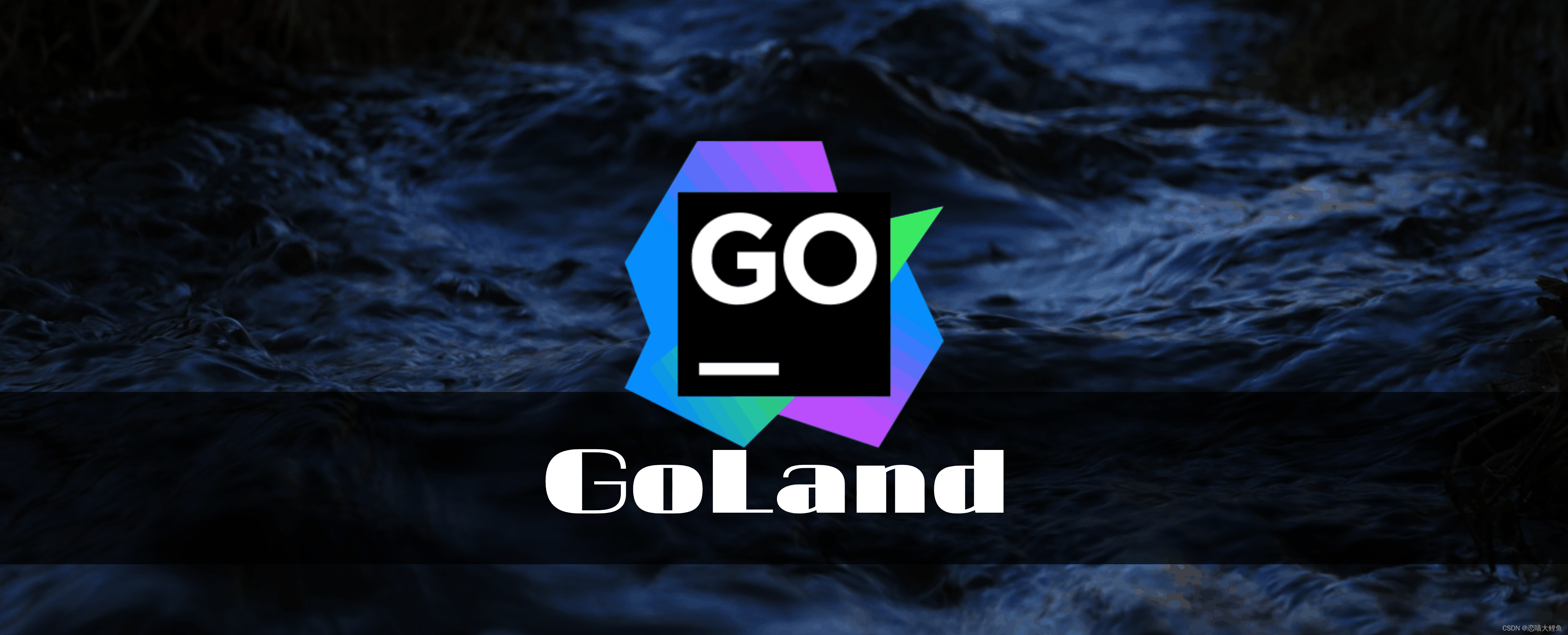 GoLand远程开发IDE：使用SSH远程连接服务器进行云端编程,内网穿透,ide,ssh,性能优化