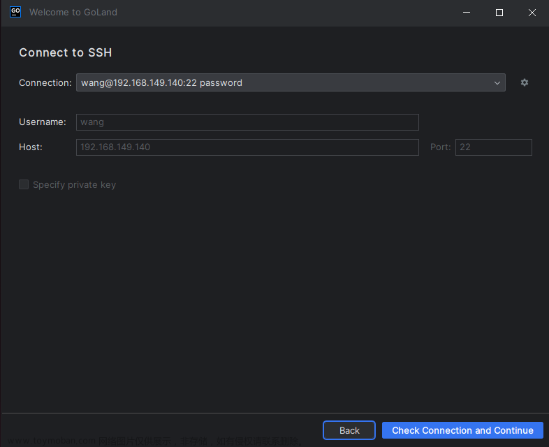 GoLand远程开发IDE：使用SSH远程连接服务器进行云端编程,内网穿透,ide,ssh,性能优化