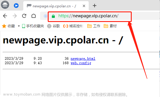 iis搭建网站,内网穿透,cpolar,web,llS