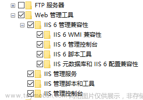 iis搭建网站,内网穿透,cpolar,web,llS