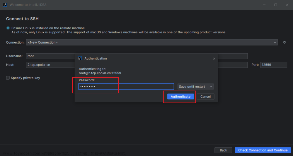 如何在IntelliJ IDEA中配置SSH服务器开发环境并实现固定地址远程连接,intellij-idea,ssh,服务器