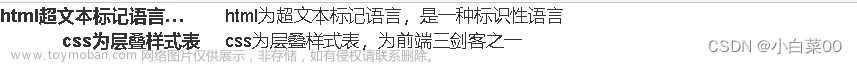 bootstrap怎么用,使用工具,bootstrap,前端,javascript