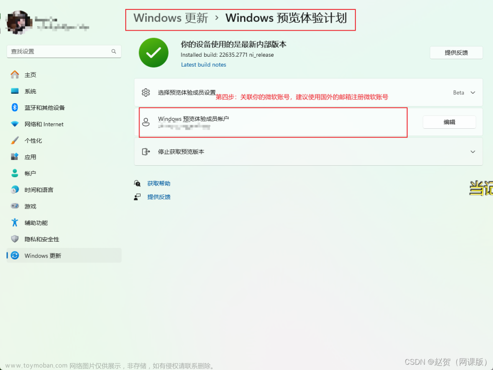 windows11copilot开启,copilot