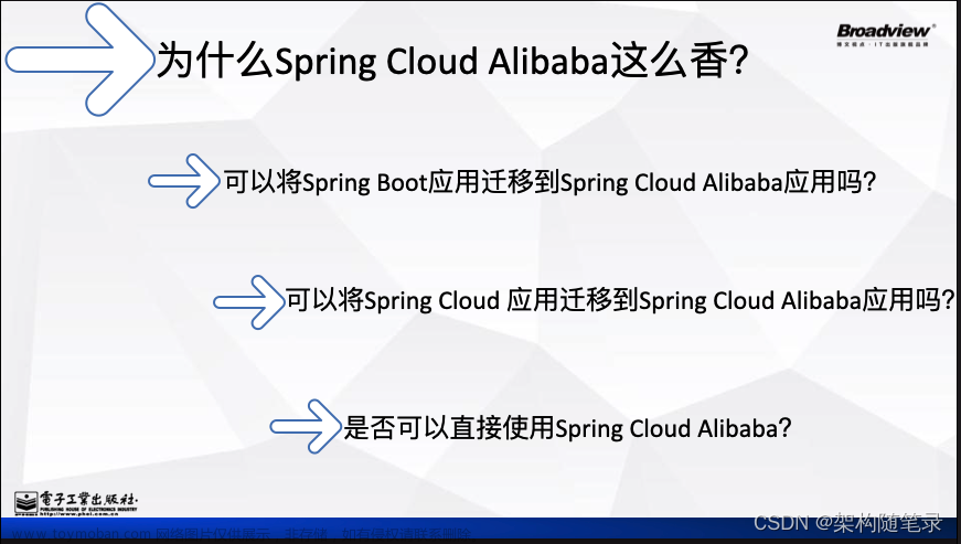 SpringCloudAlibaba微服务架构实战派上下册技术交流！,Spring Cloud Alibaba,spring cloud alibaba,rocketmq,架构,面试,分布式