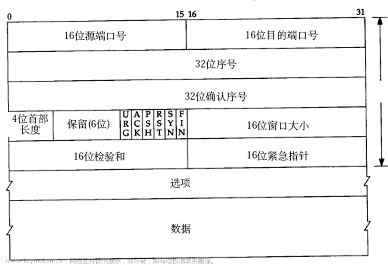 以太网arp和udp,网络编程,网络协议,tcp/ip,udp,以太网帧,计算机网络