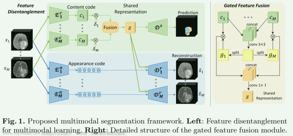 【论文阅读笔记】4篇Disentangled representation learning用于图像分割的论文