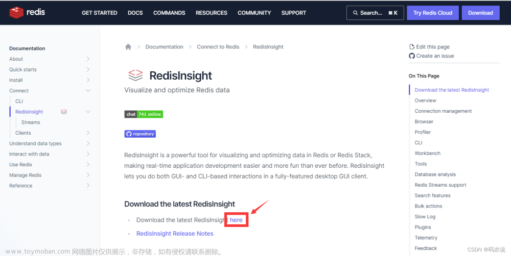 最好用的Redis客户端:RedisInsight安装部署教程, 官方亲儿子真香, 2种安装方式(包含Docker方式)， 超详细教程